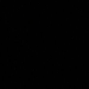 Meet your Posher, Jaidyn